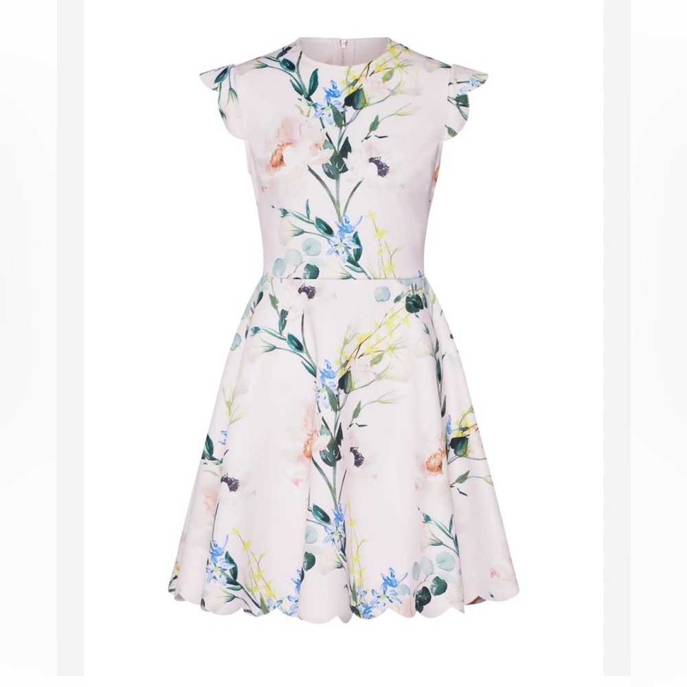 Ted Baker Karsali Elegance Scallop Skater Nude Pink Floral Cap Sleeve Dress 2 XS - Picture 3 of 16